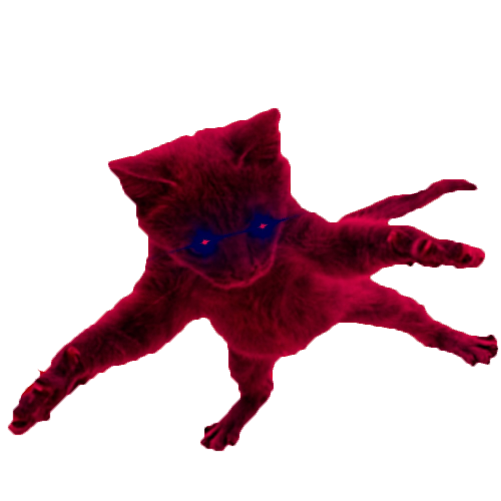 Bouncing Image